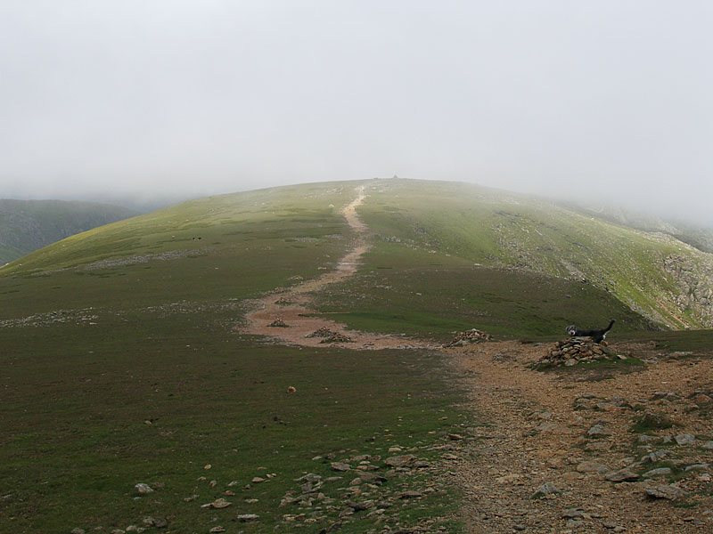 07.07.06-058