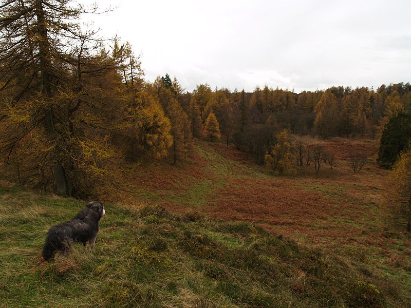 i 14.11.06-052