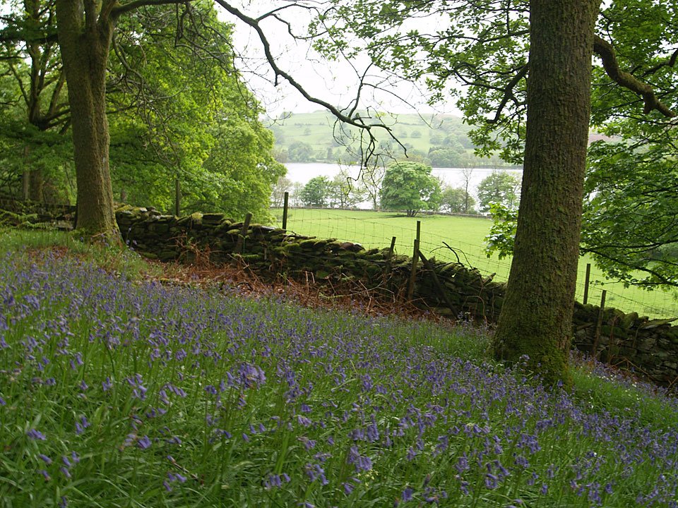 16.05.07-002