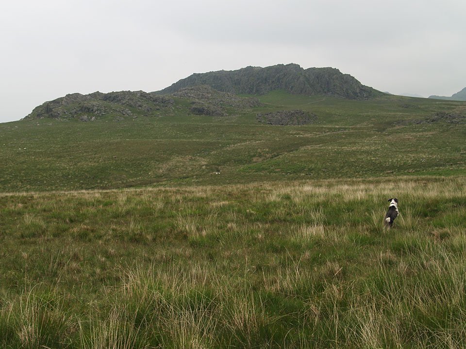 08.06.07-005