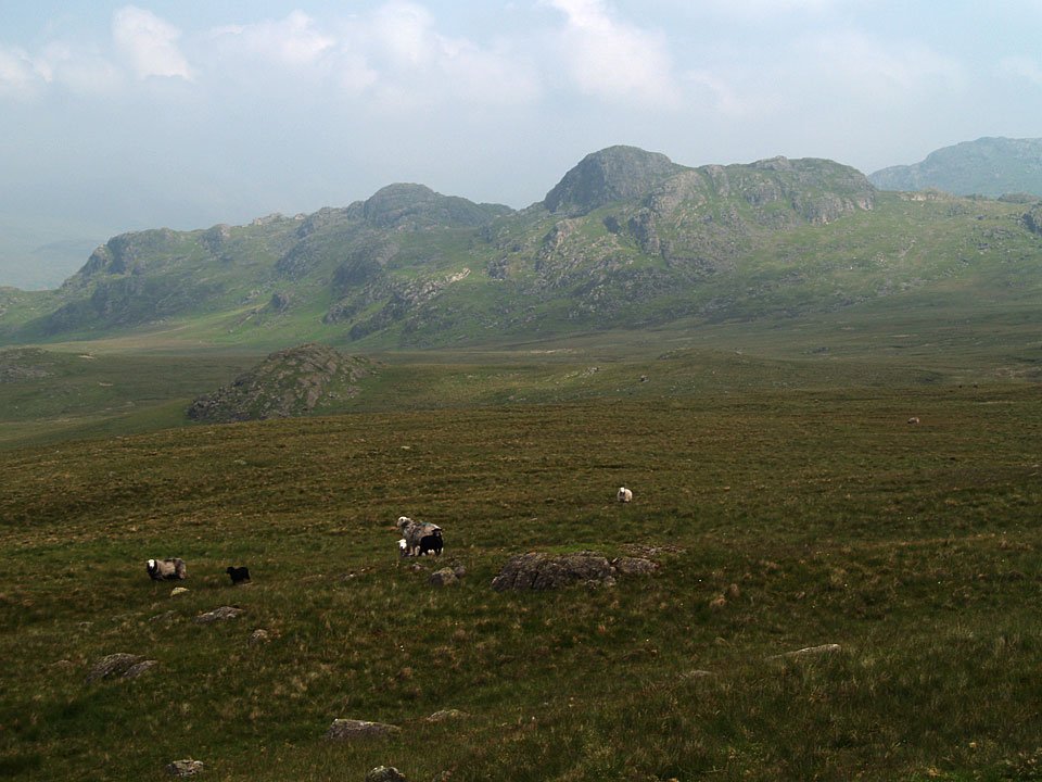 08.06.07-080