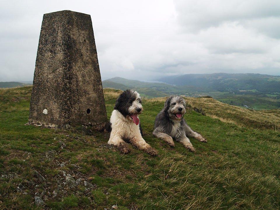 11.08.07-027