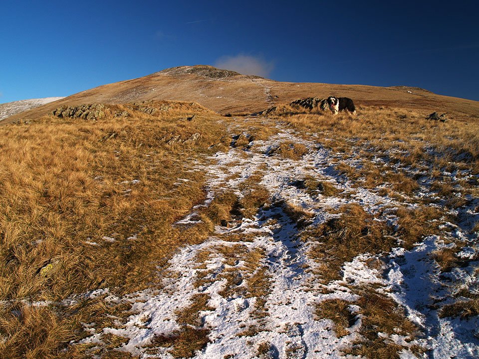 11.12.07-066