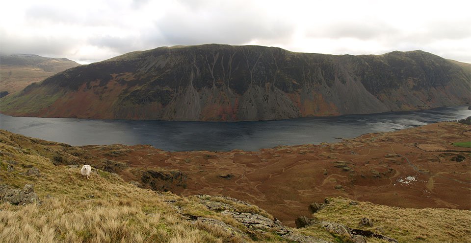 Screes