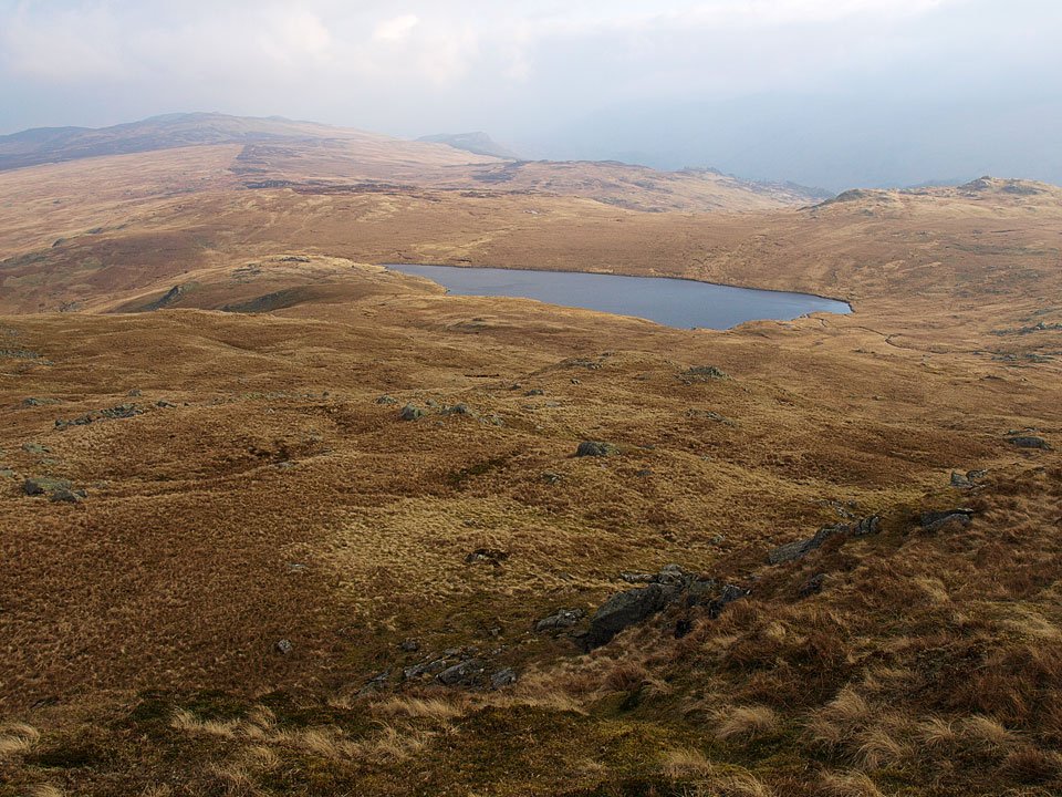 21.04.08-052.jpg