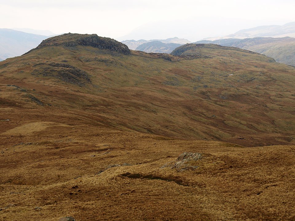 21.04.08-130.jpg