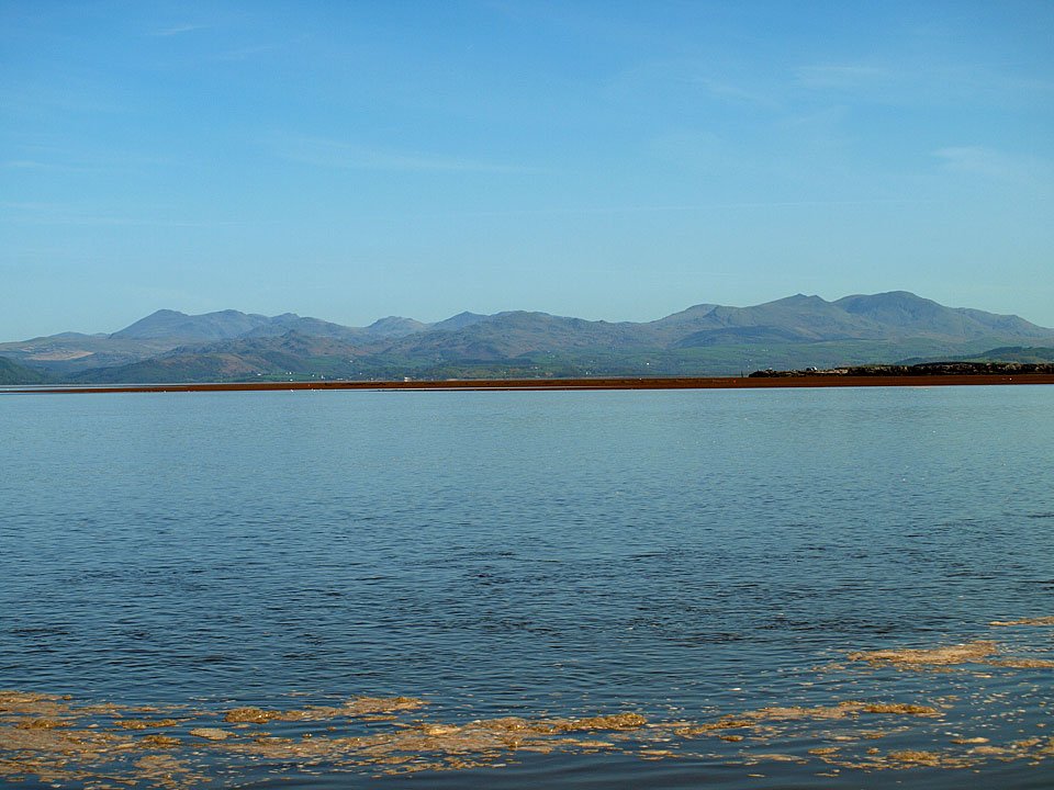 05.05.08-039.jpg