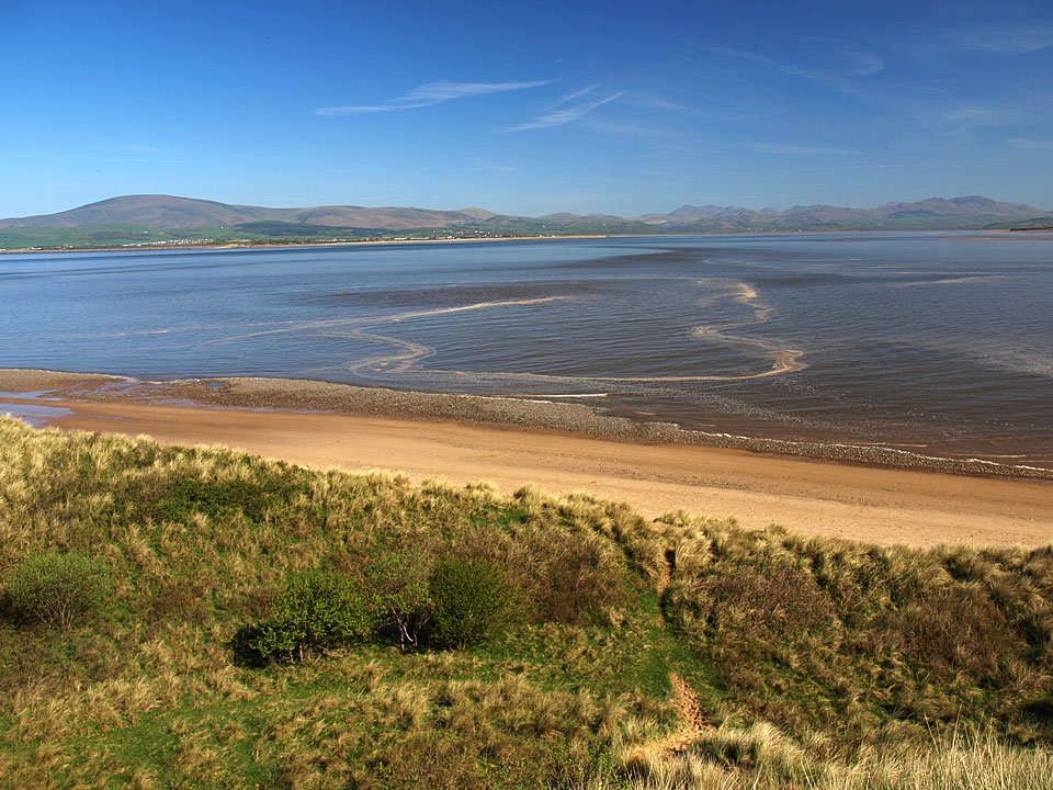05.05.08-046.jpg
