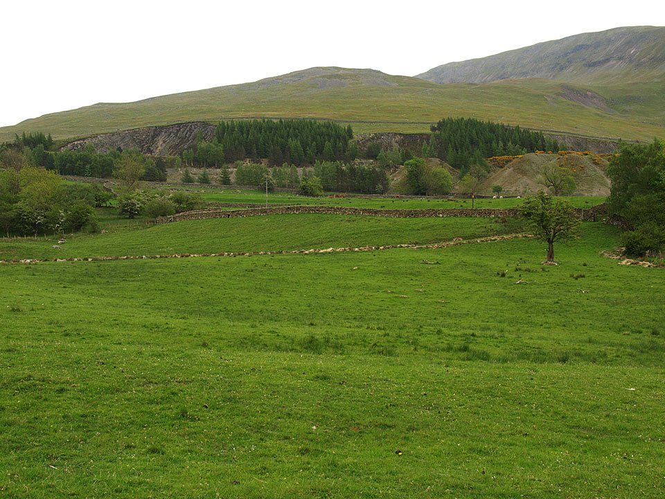 16.05.08-002.jpg