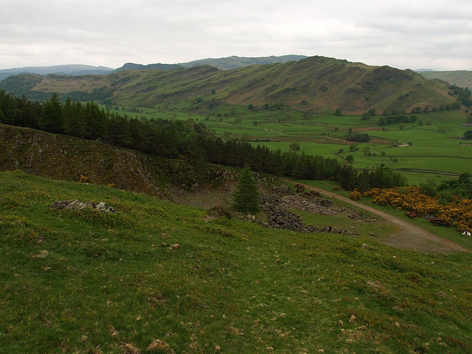 16.05.08-005.jpg