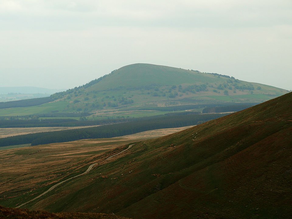 16.05.08-050.jpg