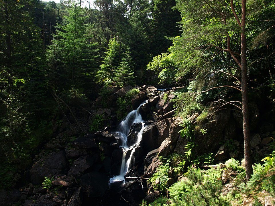 24.07.08-002.jpg