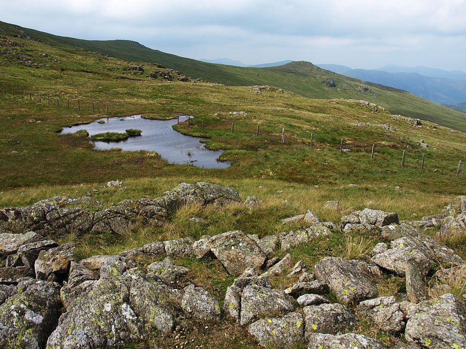 24.07.08-096.jpg