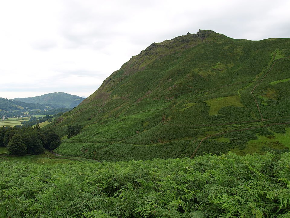 31.07.08-018.jpg