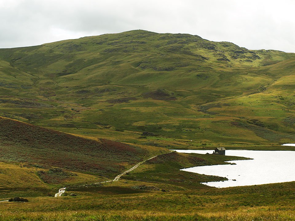 11.08.08-009.jpg