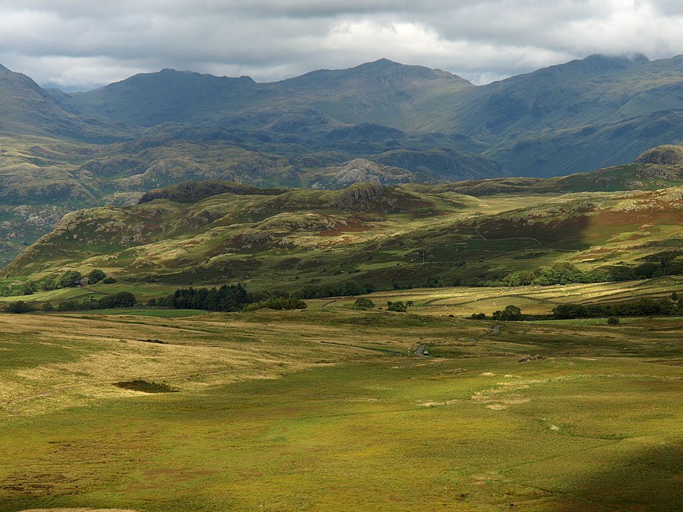 11.08.08-095.jpg