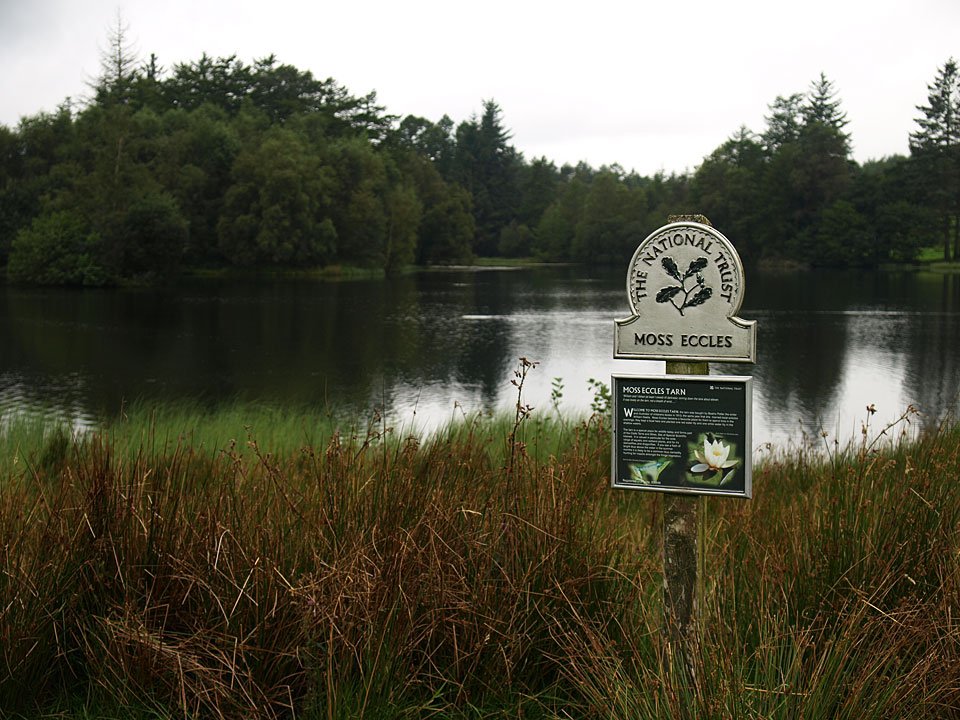 29.08.08-052.jpg