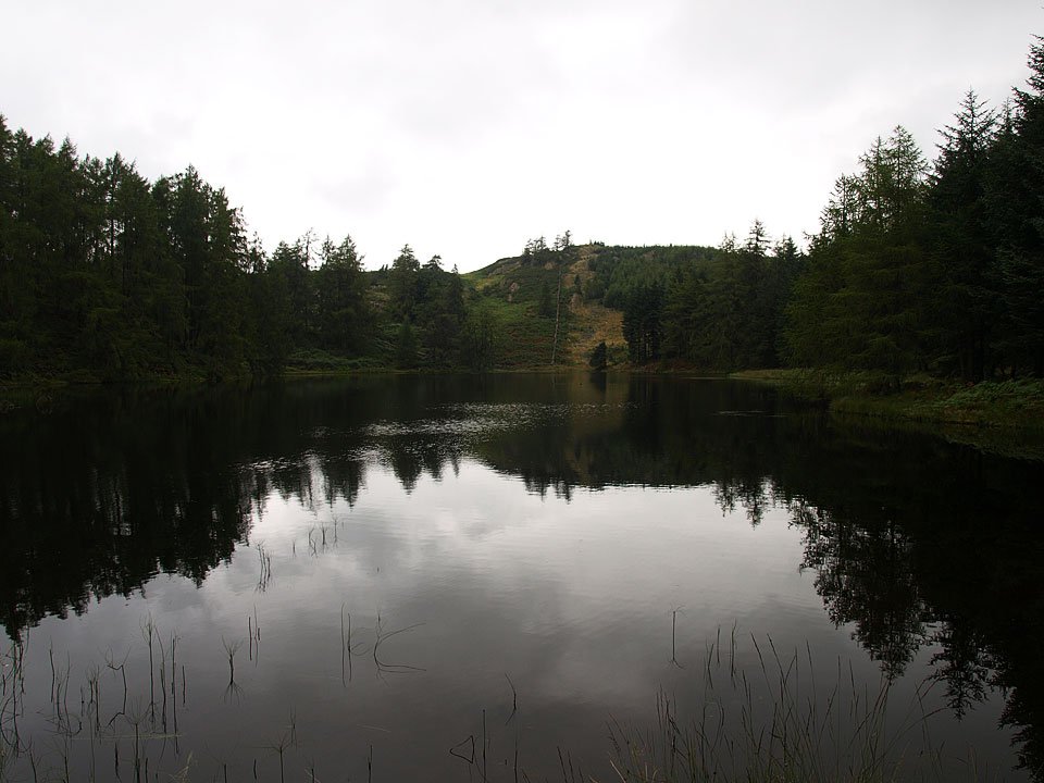 29.08.08-060.jpg