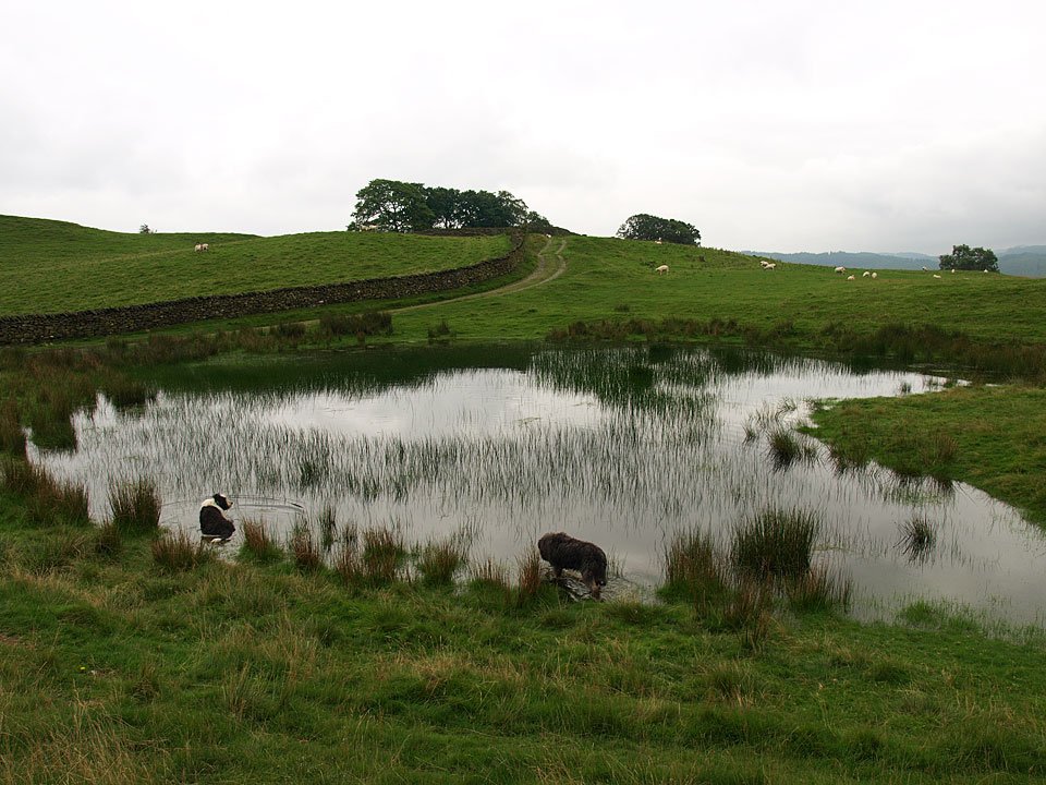 29.08.08-081.jpg