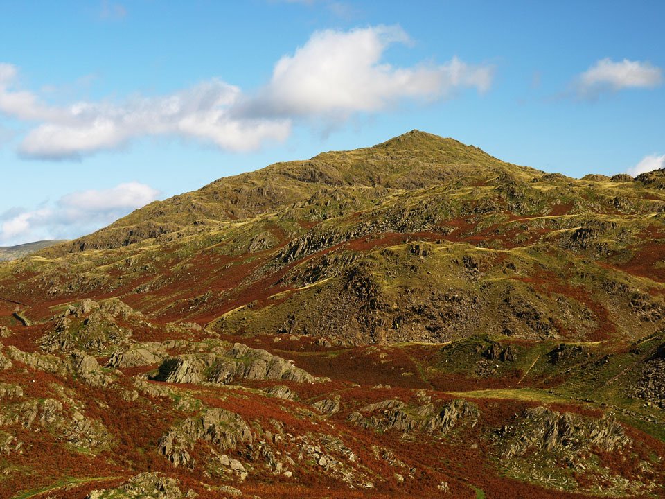 03.10.08-010.jpg