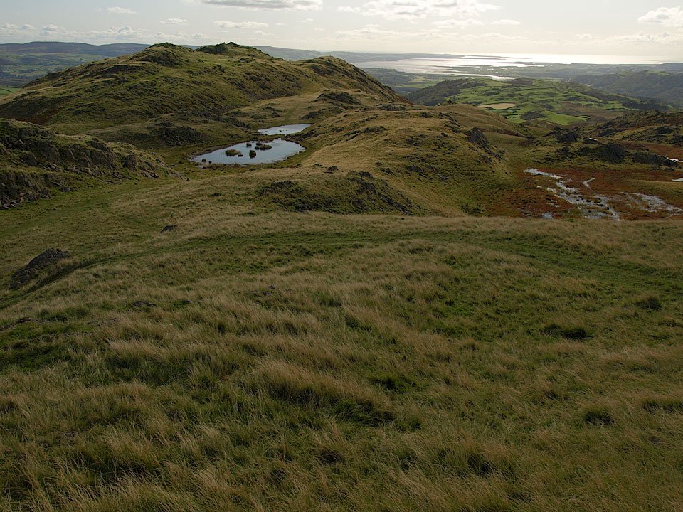 03.10.08-088.jpg