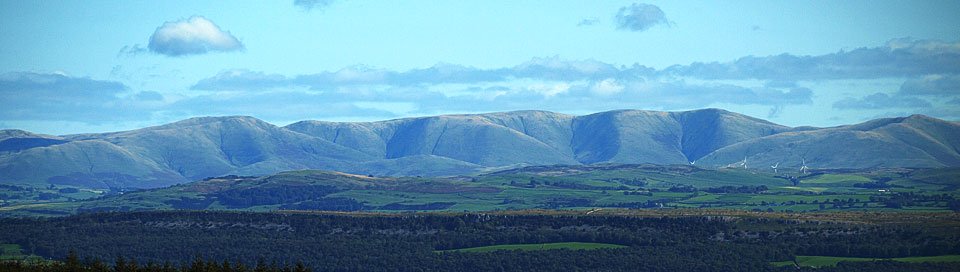 05.10.08-060.jpg