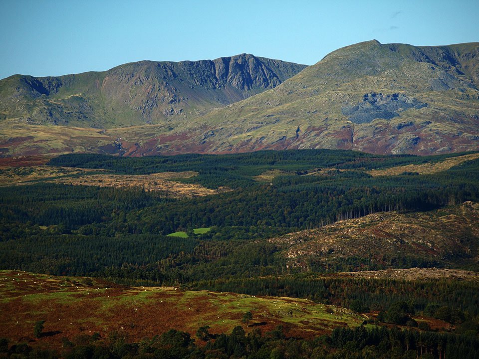05.10.08-073.jpg