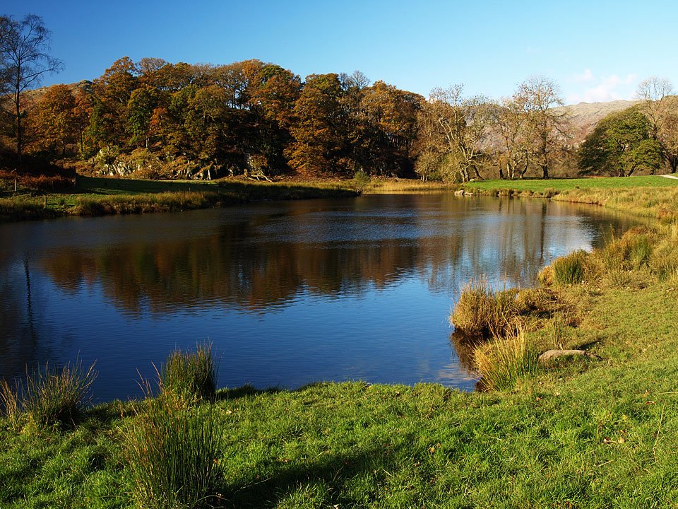 02.11.08-036.jpg