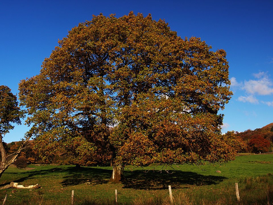 02.11.08-074.jpg