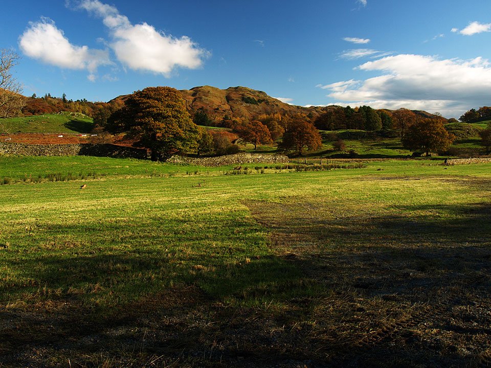 02.11.08-092.jpg