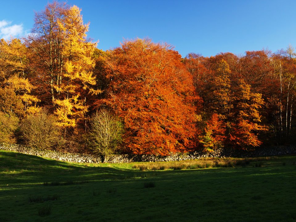 02.11.08-200.jpg