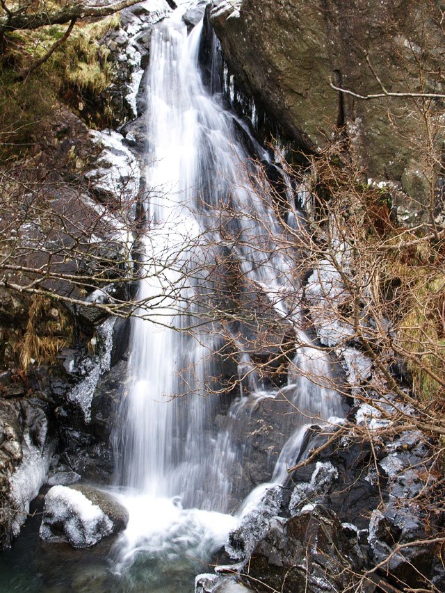 01.12.08-046.jpg