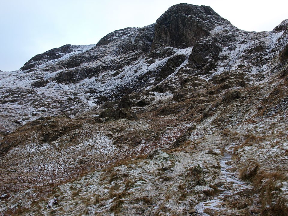 01.12.08-063.jpg
