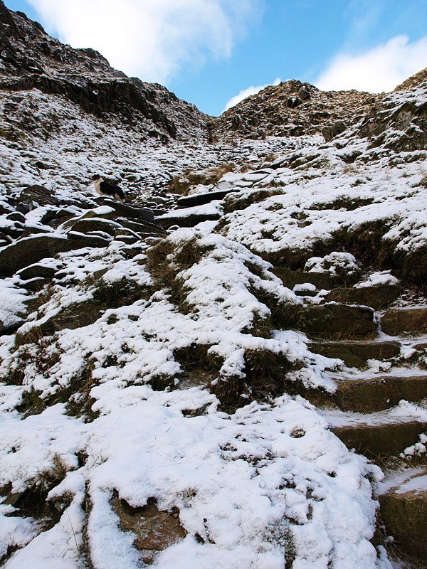 01.12.08-068.jpg