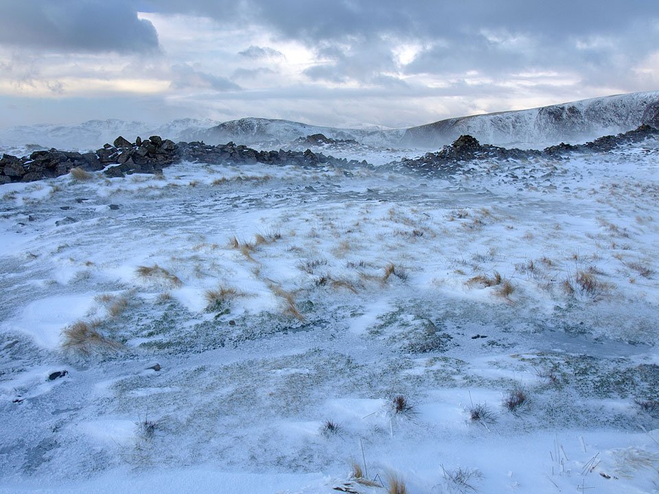 01.12.08-087.jpg