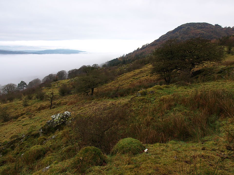 15.12.08-002.jpg