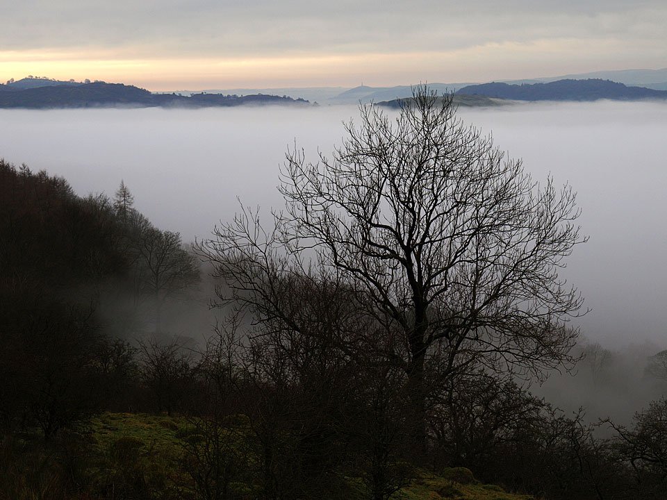 15.12.08-005.jpg