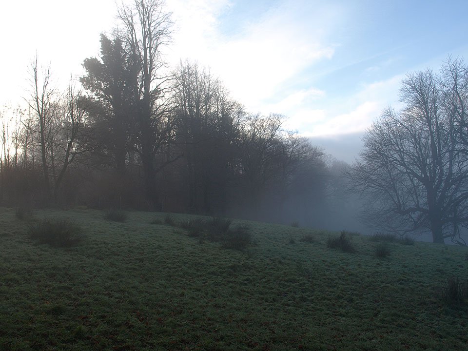 15.12.08-013.jpg