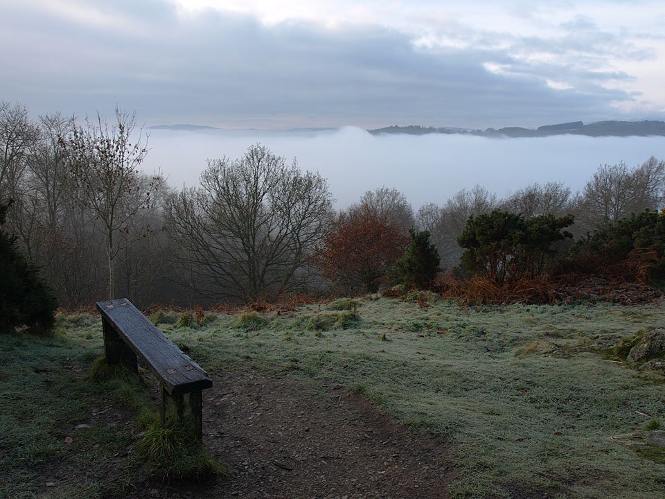15.12.08-017.jpg