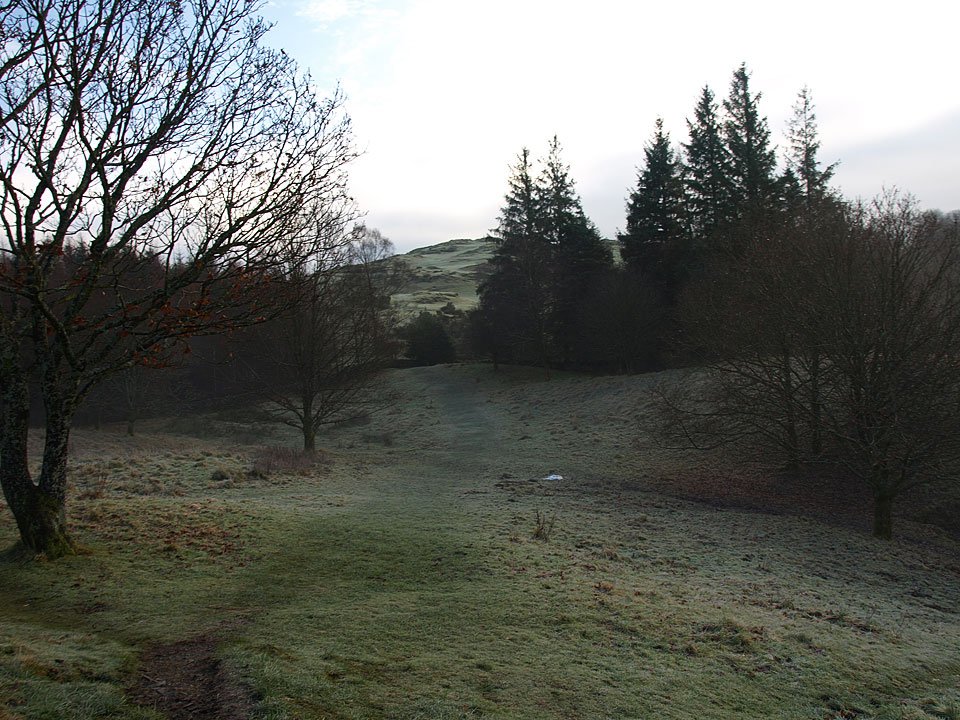 15.12.08-018.jpg