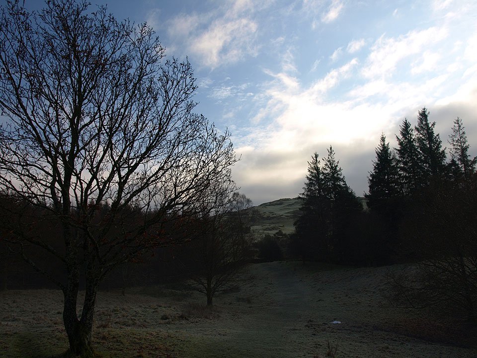 15.12.08-019.jpg
