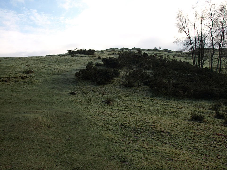 15.12.08-022.jpg