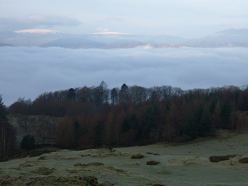 15.12.08-047.jpg