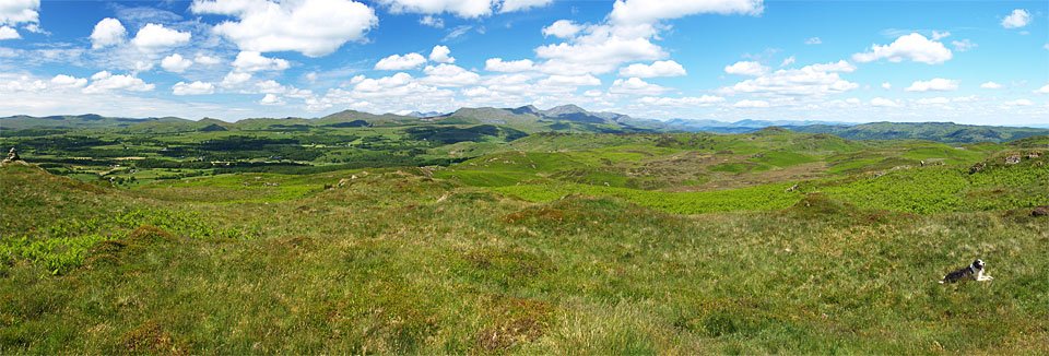 Blawith-Knott