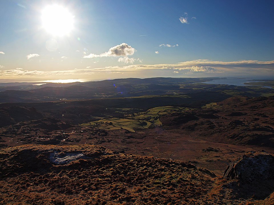 29.01.10-106