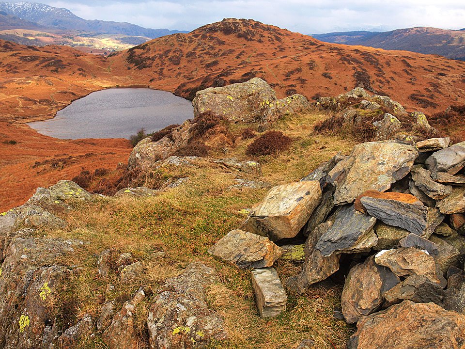 Wool Knott