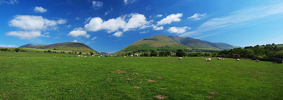 22.06.10-027_stitch