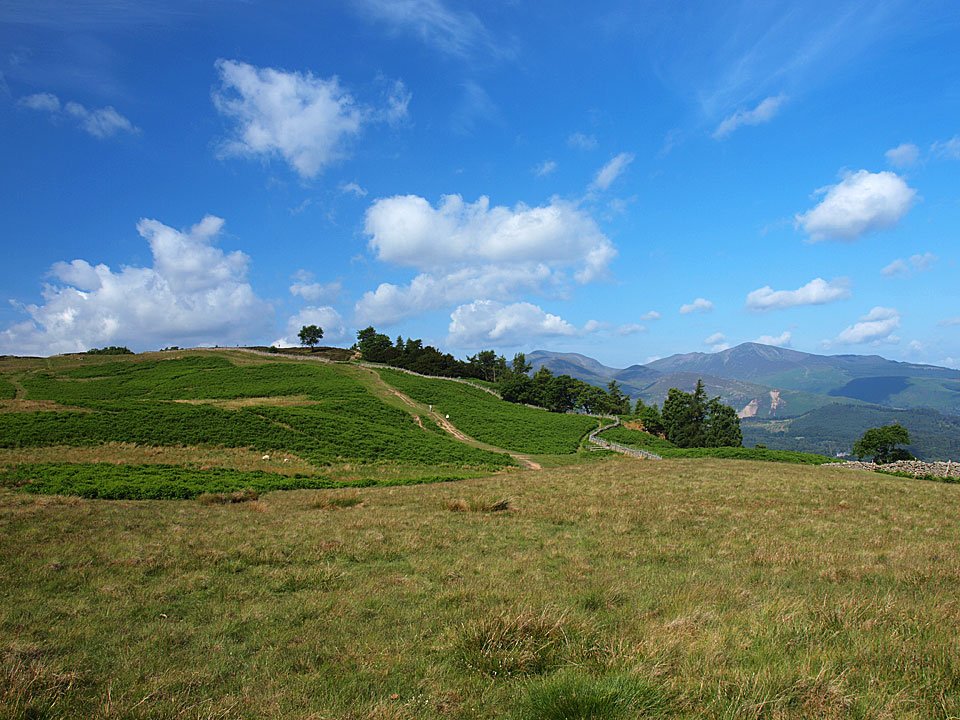 28.06.10-087