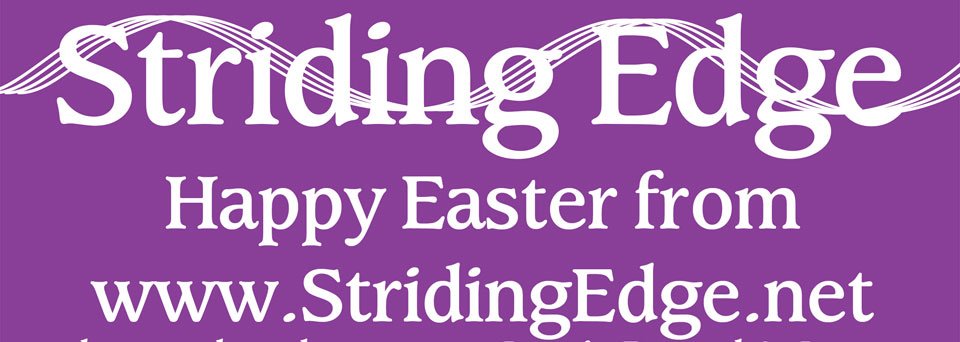 Striding Edge logo2 no reflecion