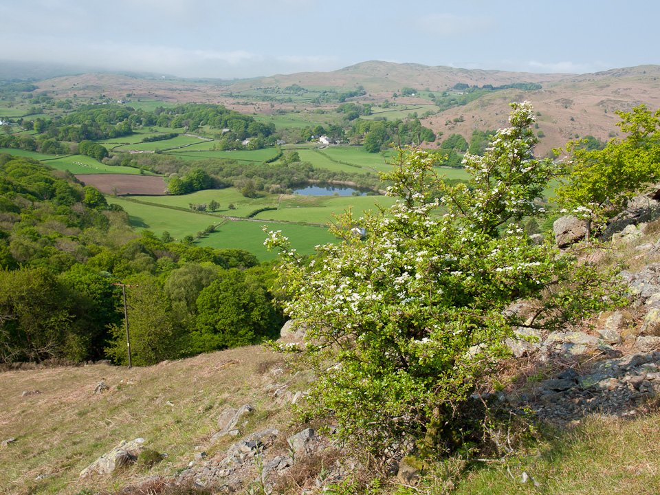 P5243444.jpg